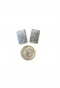 Monet Water Lily Studs
